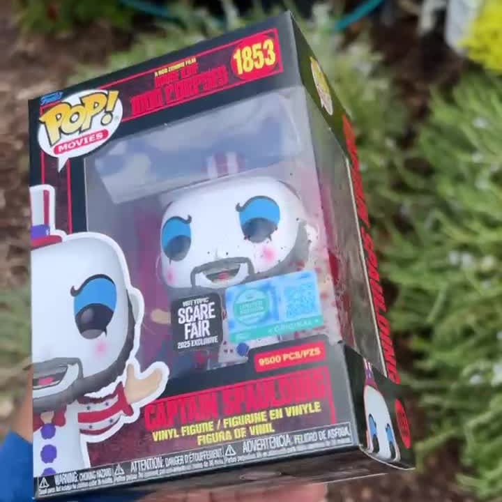 Video Thumbnail