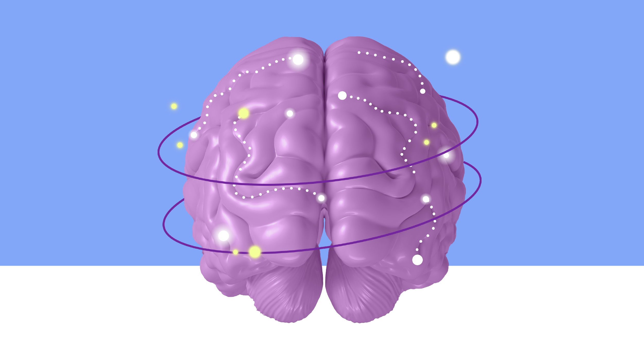 brain