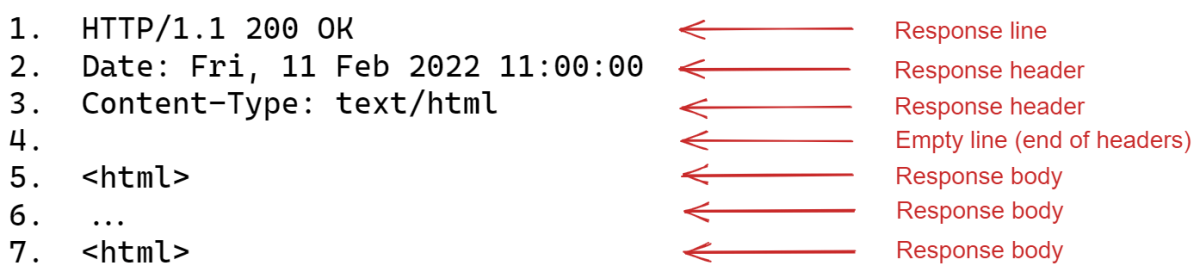 Computer Networking Essentials for Developers: the Web - Part 2 | endjin