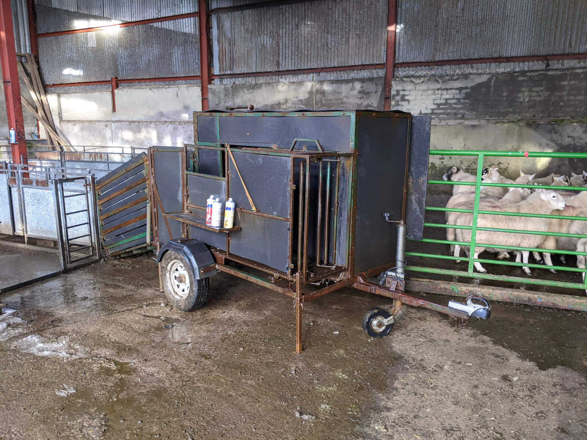 Custom built trailer for scanning sheep.