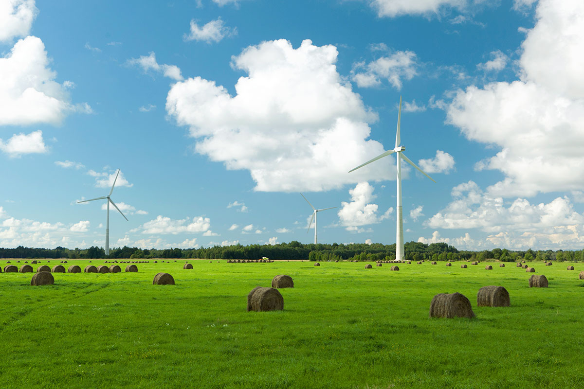 Using renewable energy sources preserves the environment