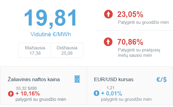 Energijos rinkos apžvalga | 2021 sausio mėn