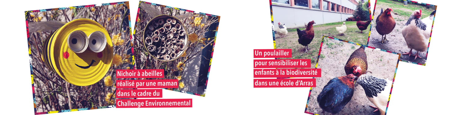 Les enfants découvrent la biodiversité via le Challenge Environnemental Energic