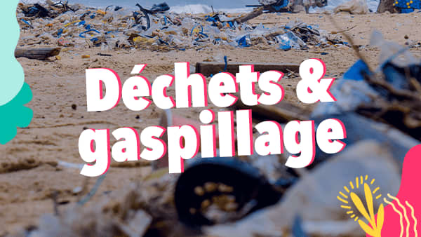 TOP 4 des associations contre les déchets et le gaspillage TOP 4 des associations contre les déchets et le gaspillage