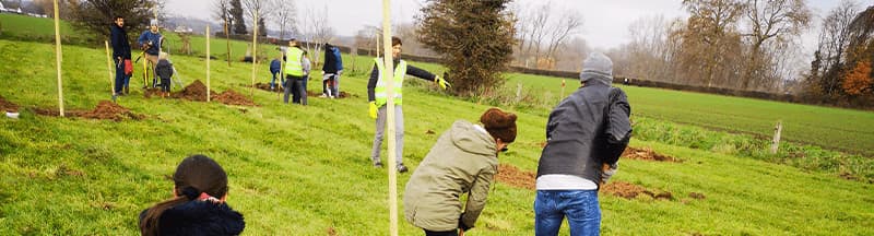Canopée Reforestation