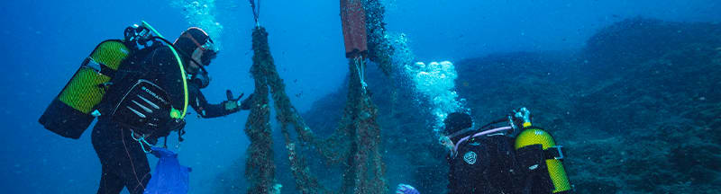 NaturDive
