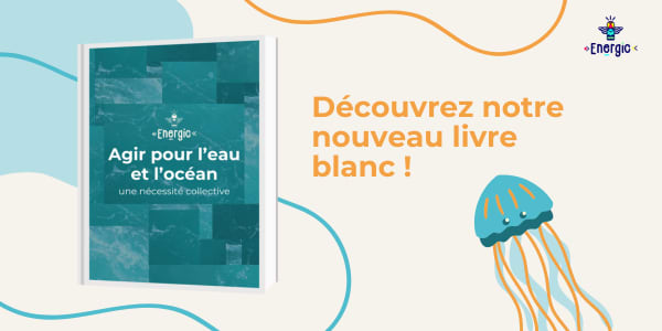 Livre Blanc Eau