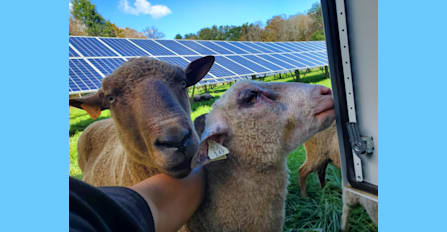 Farm Groundmount Solar Project