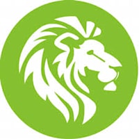 Lionshead Energy - Solar & Energy Efficiency Services logo