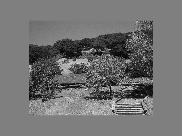 Supplier uploaded content