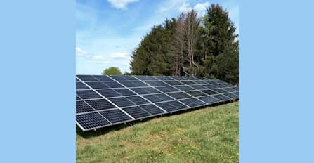 Supplier uploaded content