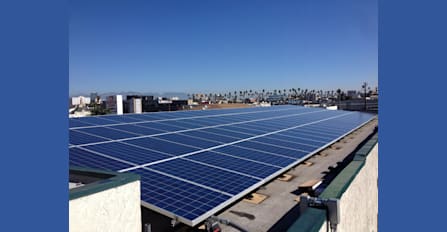 30 kW Commercial System in downtown Los Angeles, CA