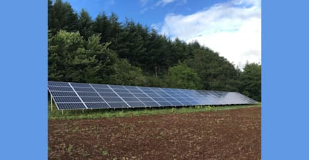 This 30kW ground-mounted array off-sets the energy needs of a beautiful Oregon vineyard!