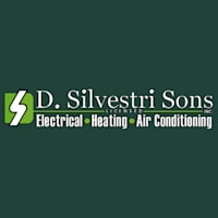 D. Silvestri Sons, Inc. logo