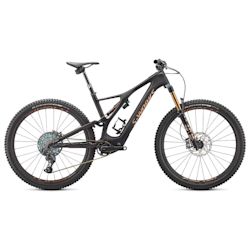 e-MTB Leicht