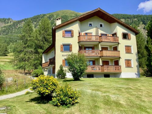 Chesa Auricula 4 Aden ÖV inklusive