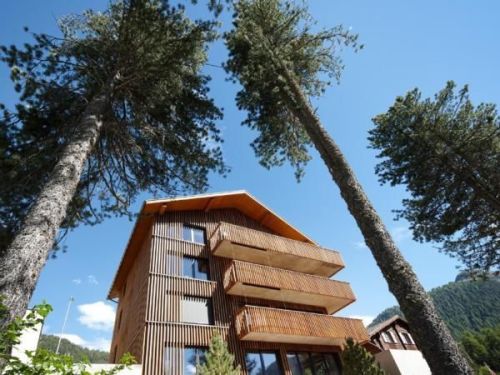 Alpine Lodge 6-Bett-Wohnung Chesa al Parc / "Bergbahnen All inklusive" im Sommer