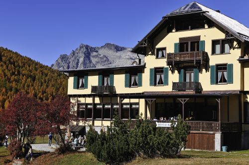 Hotel Fex