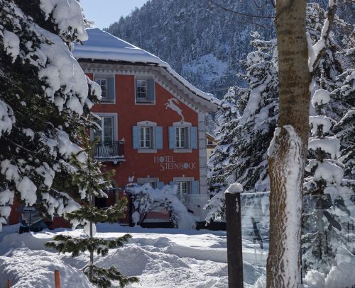 Hotel Steinbock
