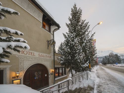 Hotel Saluver