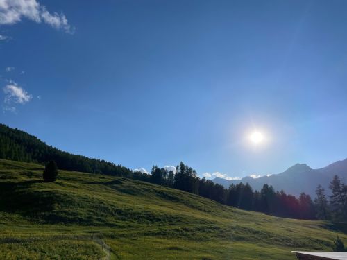 La Staila