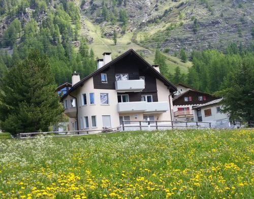 Bergbahnen im Sommer inbegriffen