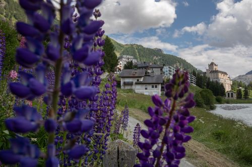 Studio Flüm - Chesa Misaun