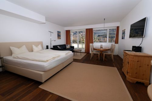 Studio Hotel Europa Apt 411