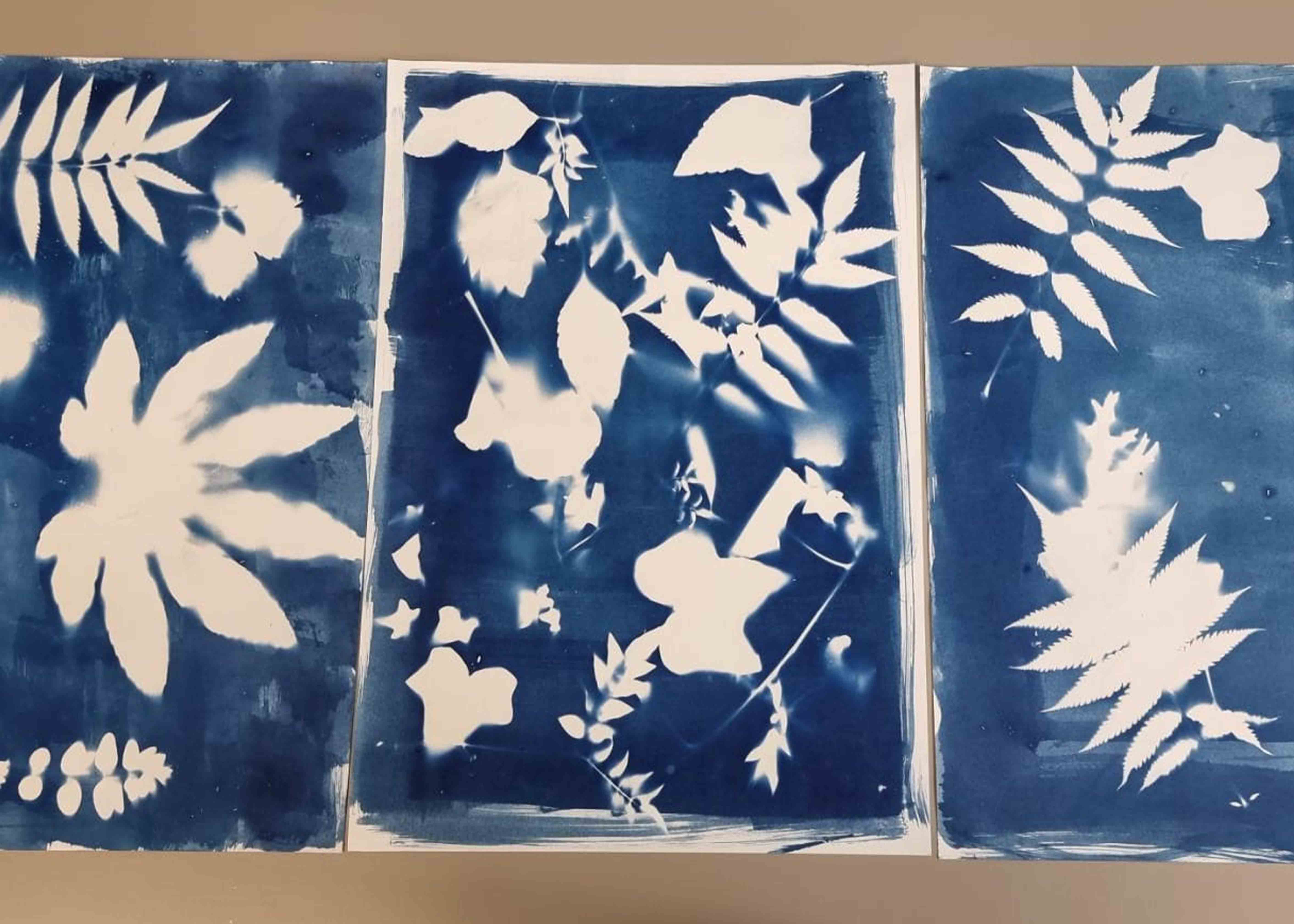 Floral cyanotypes