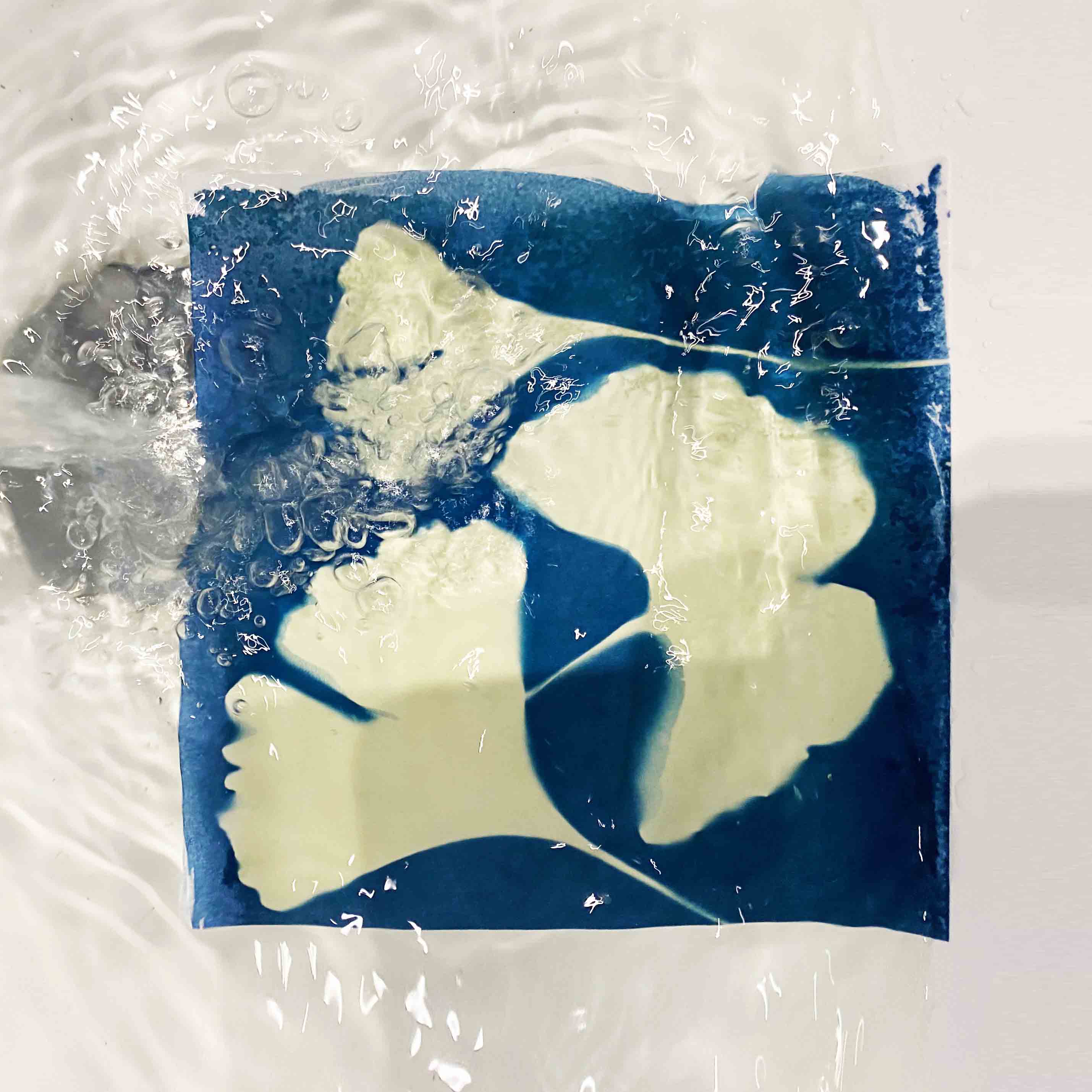 Washing cyanotype