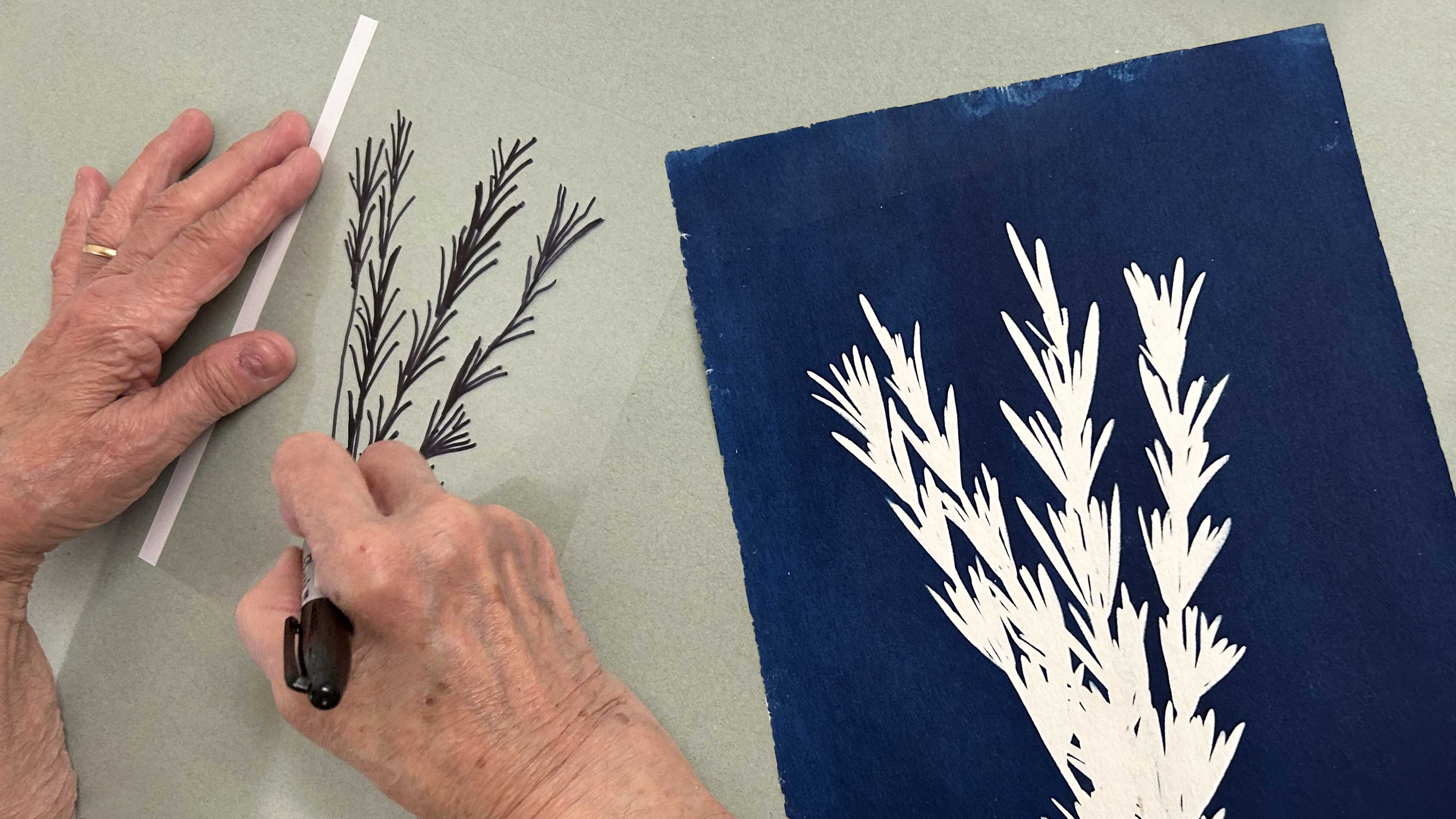 cyanotype printing