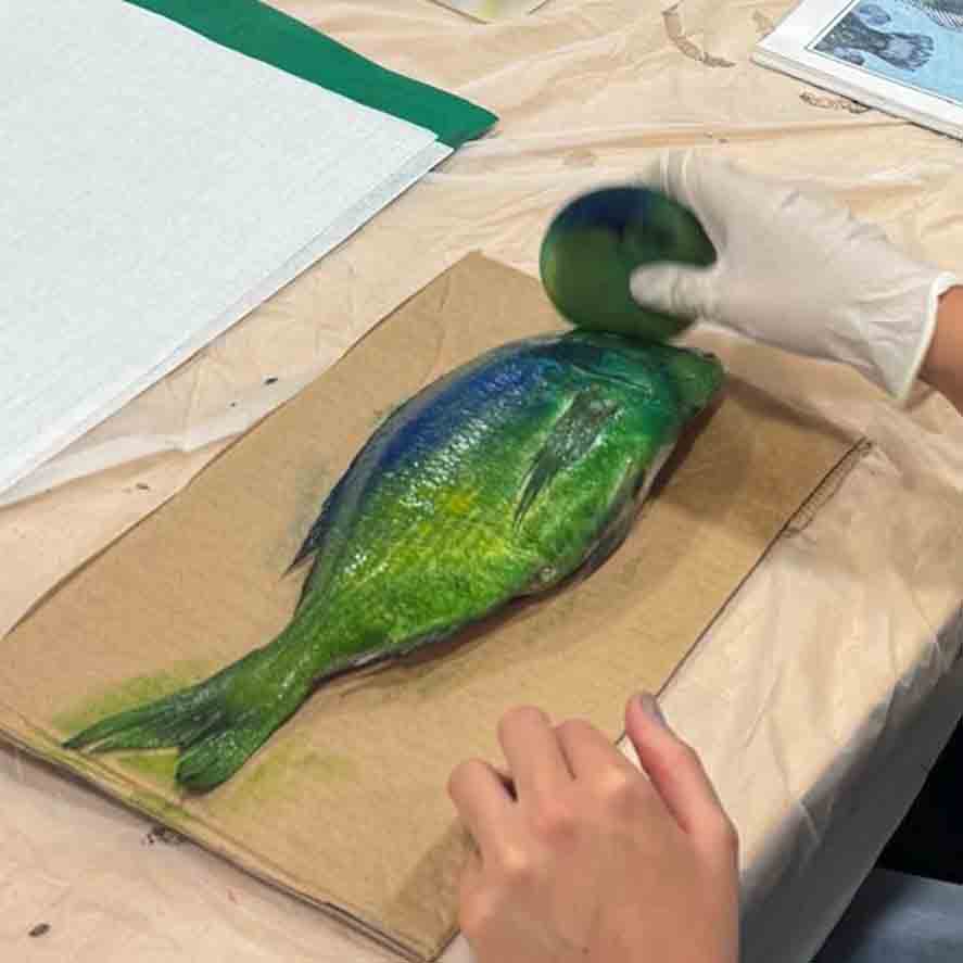 Paper stencil