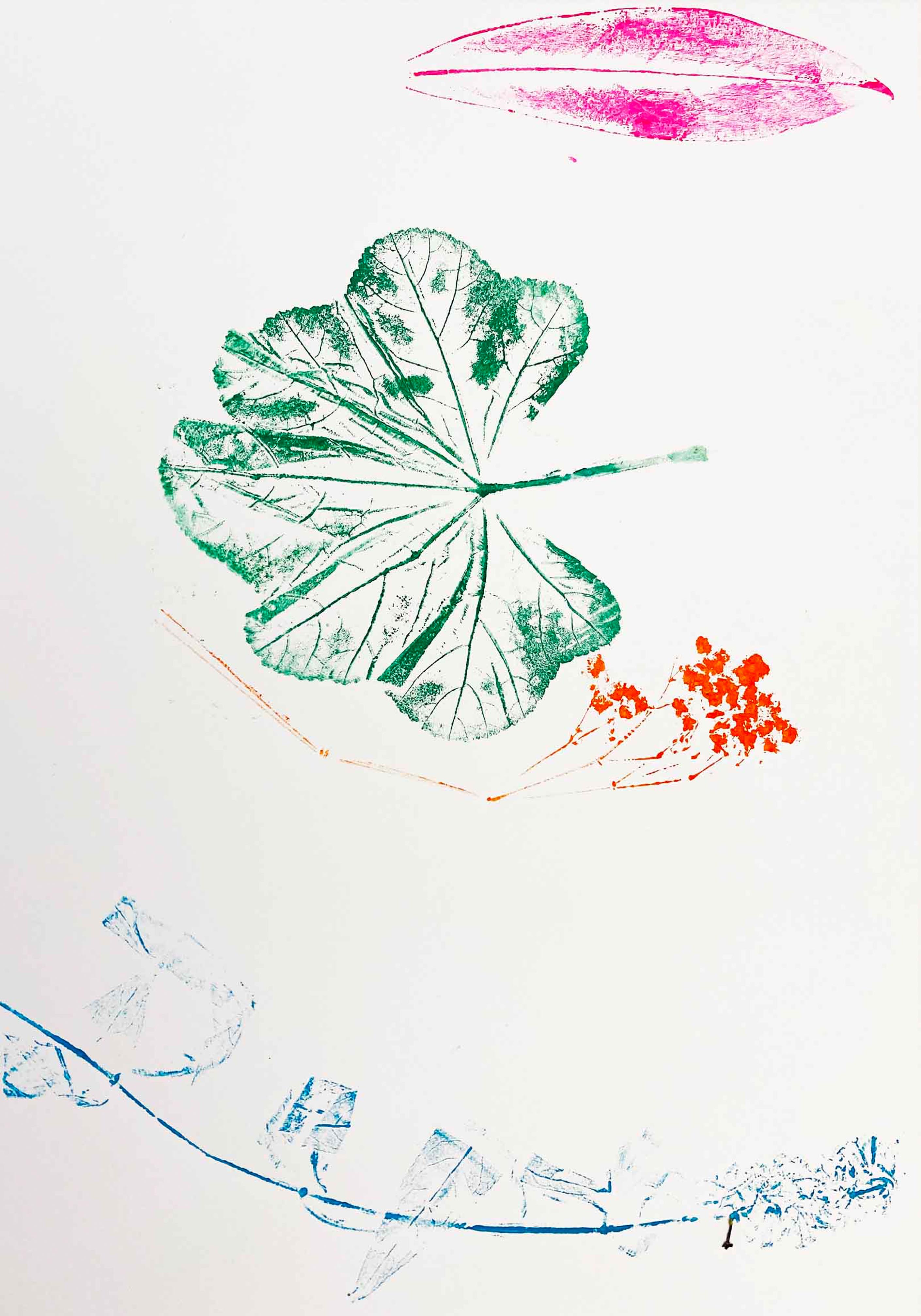 Nature printing