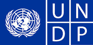 Logo image for UN Development Programme