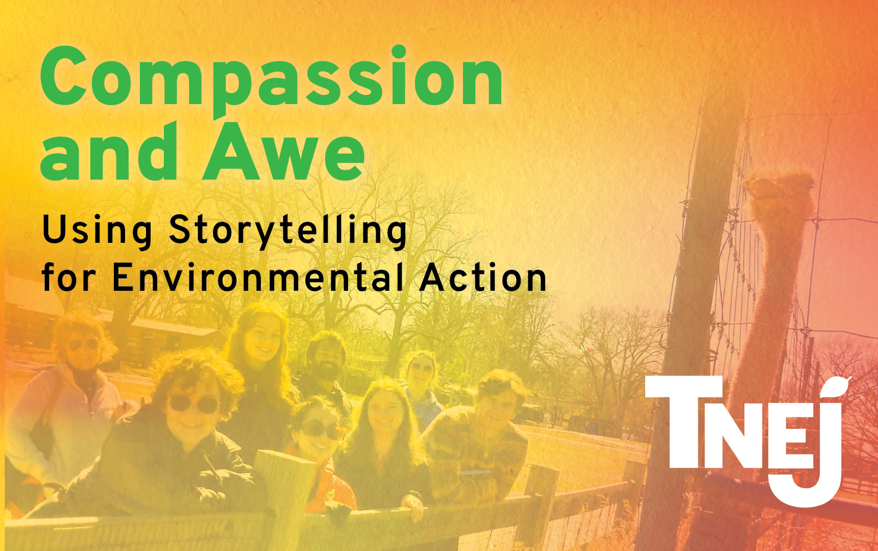Compassion and Awe: Using Storytelling for Environmental Action
