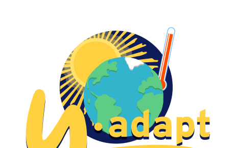 Y.adapt logo