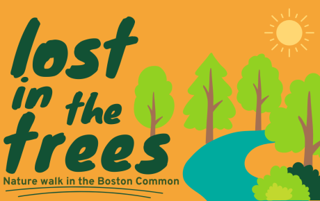 Lost in the Trees: Nature Walk in Boston Common