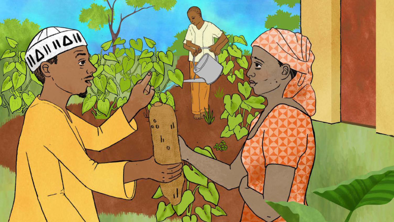An illustration of Ananse with two other people amidst leafy growing plants