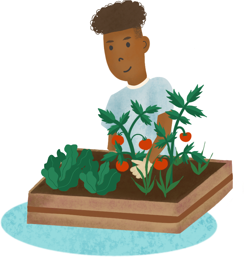 A cartoonish drawing of a boy tending a garden