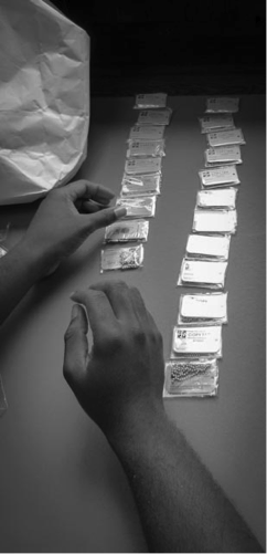 Image 3: Students line up the many travel bugs placed throughout the project.