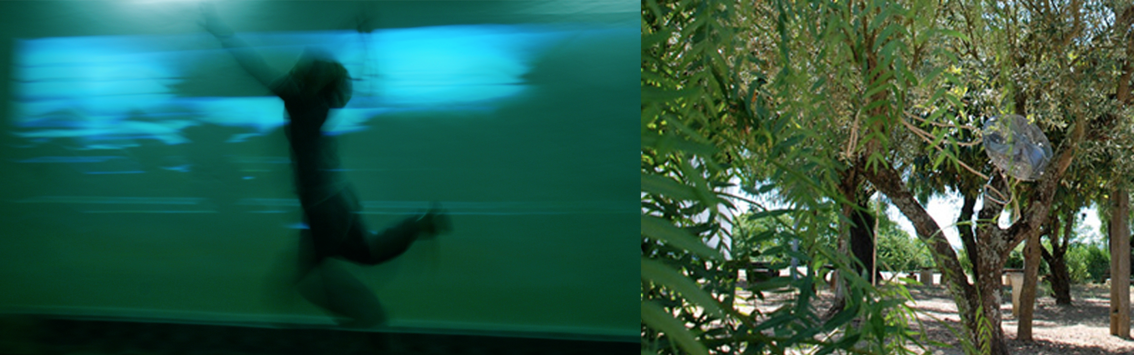 B-Wind! interactive installation at AZ Labs @ O Espaço do Tempo exhibition: participant interaction both indoors with visual effects on the real-time video projection and outdoors on the fans activation on the tree. An ARTiVIS experience by Mónica Mendes, Pedro Ângelo and Nuno Correia