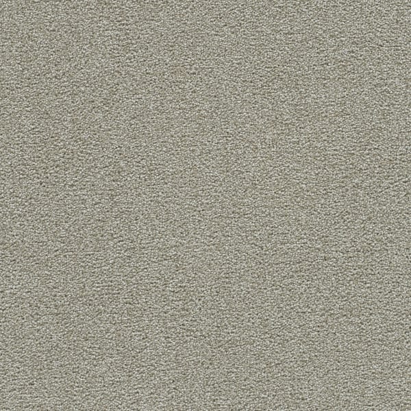 DreamWeaver Clearwater I — August Grove carpet swatch