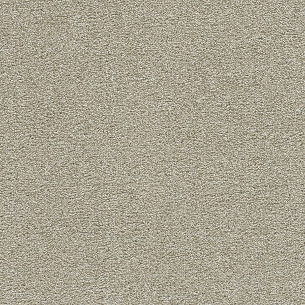 DreamWeaver Clearwater I — Wheat Grass carpet swatch