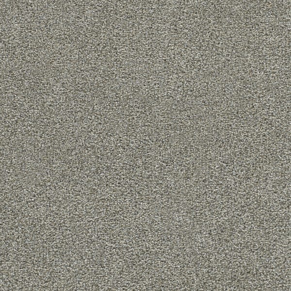 DreamWeaver Clearwater I — Gravel Stone carpet swatch