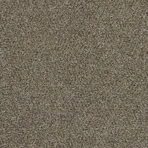 Clearwater II — Dark Truffle swatch