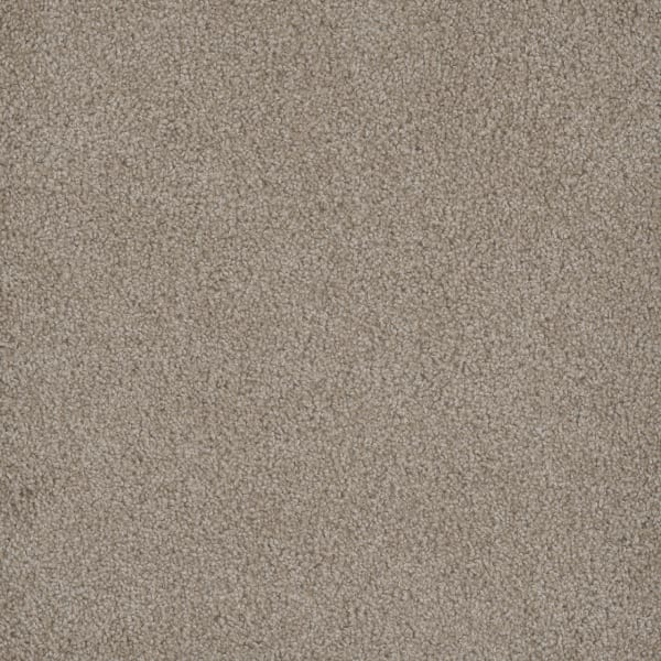 DreamWeaver Hammond Creek I — Cameo carpet swatch