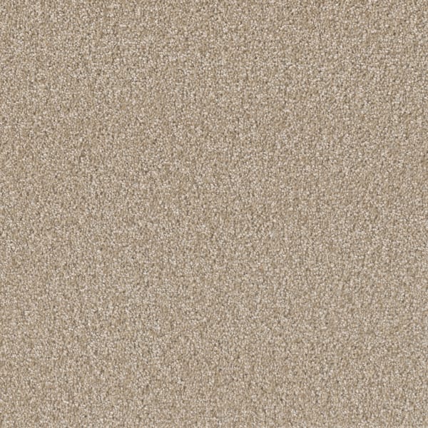 DreamWeaver Broadcast Plus — Cameo carpet swatch