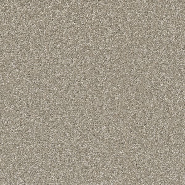 DreamWeaver Broadcast Plus — Clam Shell carpet swatch