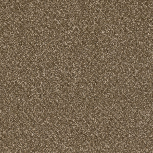 DreamWeaver Broadcast Plus — Mocha Beige carpet swatch