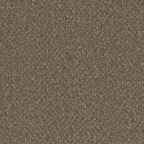 DreamWeaver Broadcast Plus — Rustic Glam carpet swatch